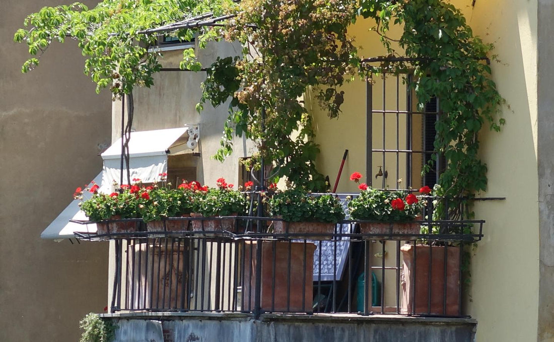 Natürlich kühlen: Den Balkon durch Begrünung vor Hitze schützen