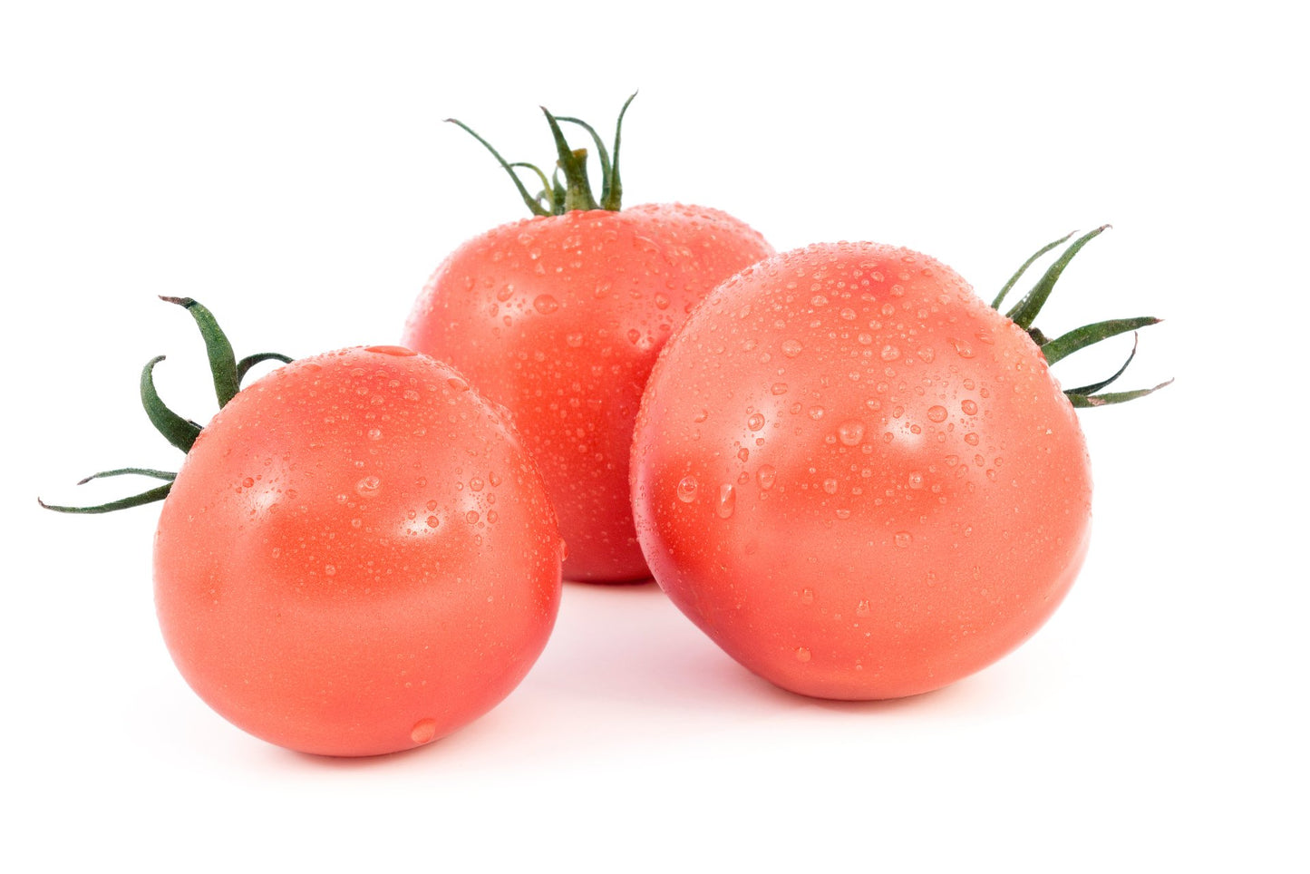 15 Samen Tomate "Berner Rose"