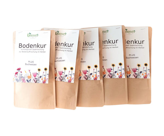 Bodenkur Gründünger Mix + Buchweizen für Herbst und Winter - 200 qm