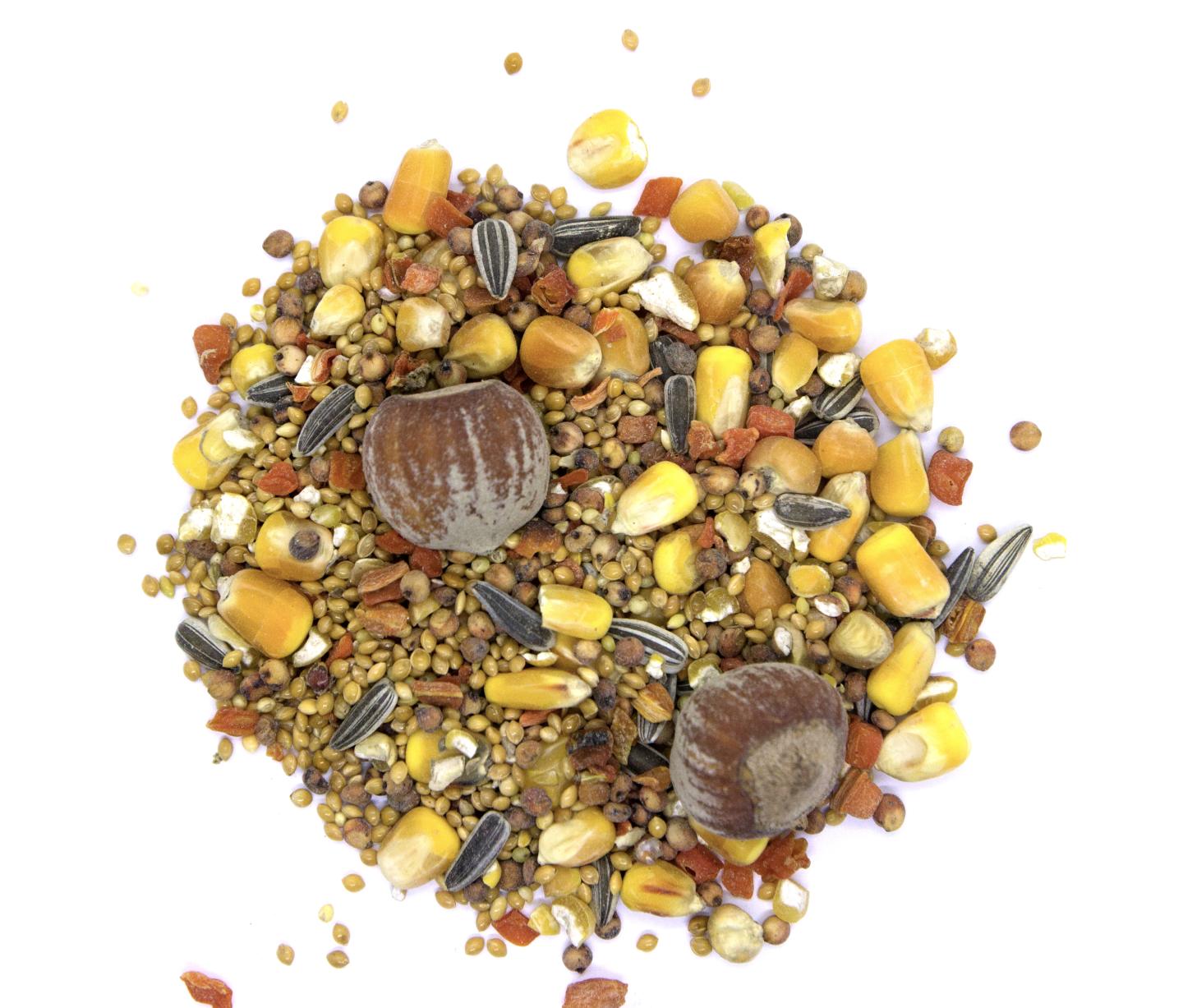 Eichhörnchen Ergänzungsfutter 2kg