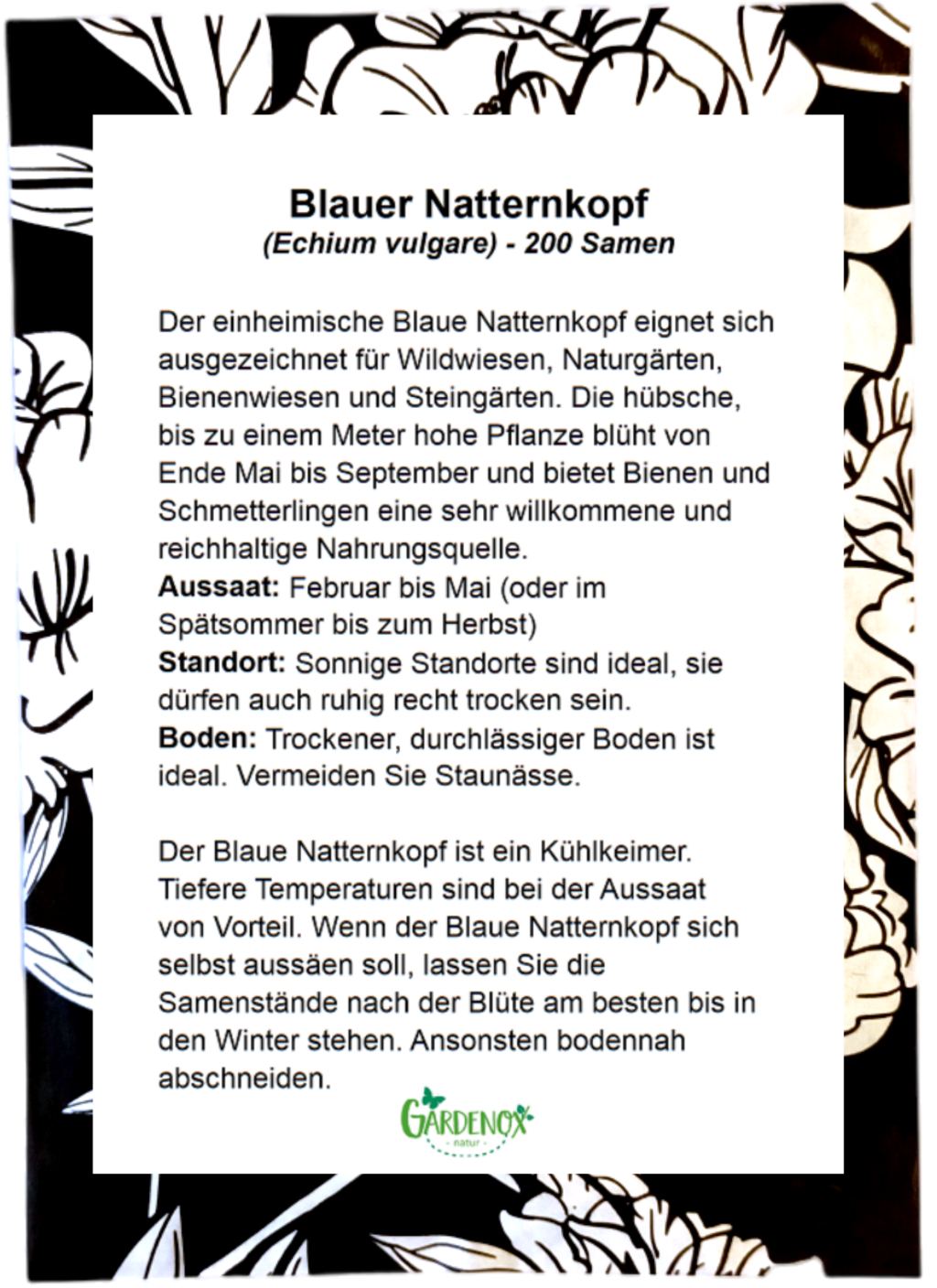 Blauer Natternkopf Samen Echium vulgare ab 400 Samen