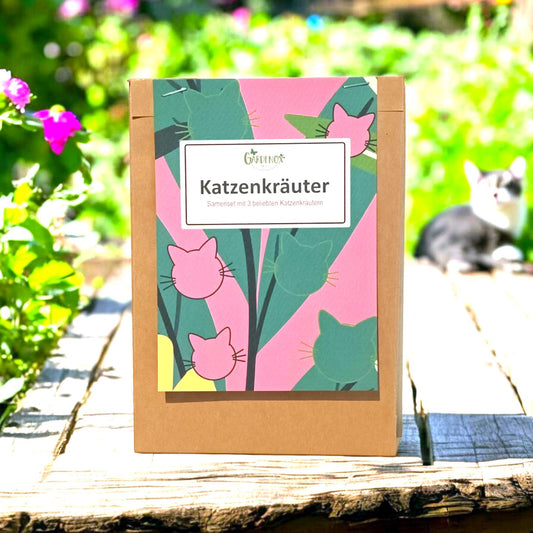 Katzenkräuter - Drei Kräutersorten, die Katzen lieben
