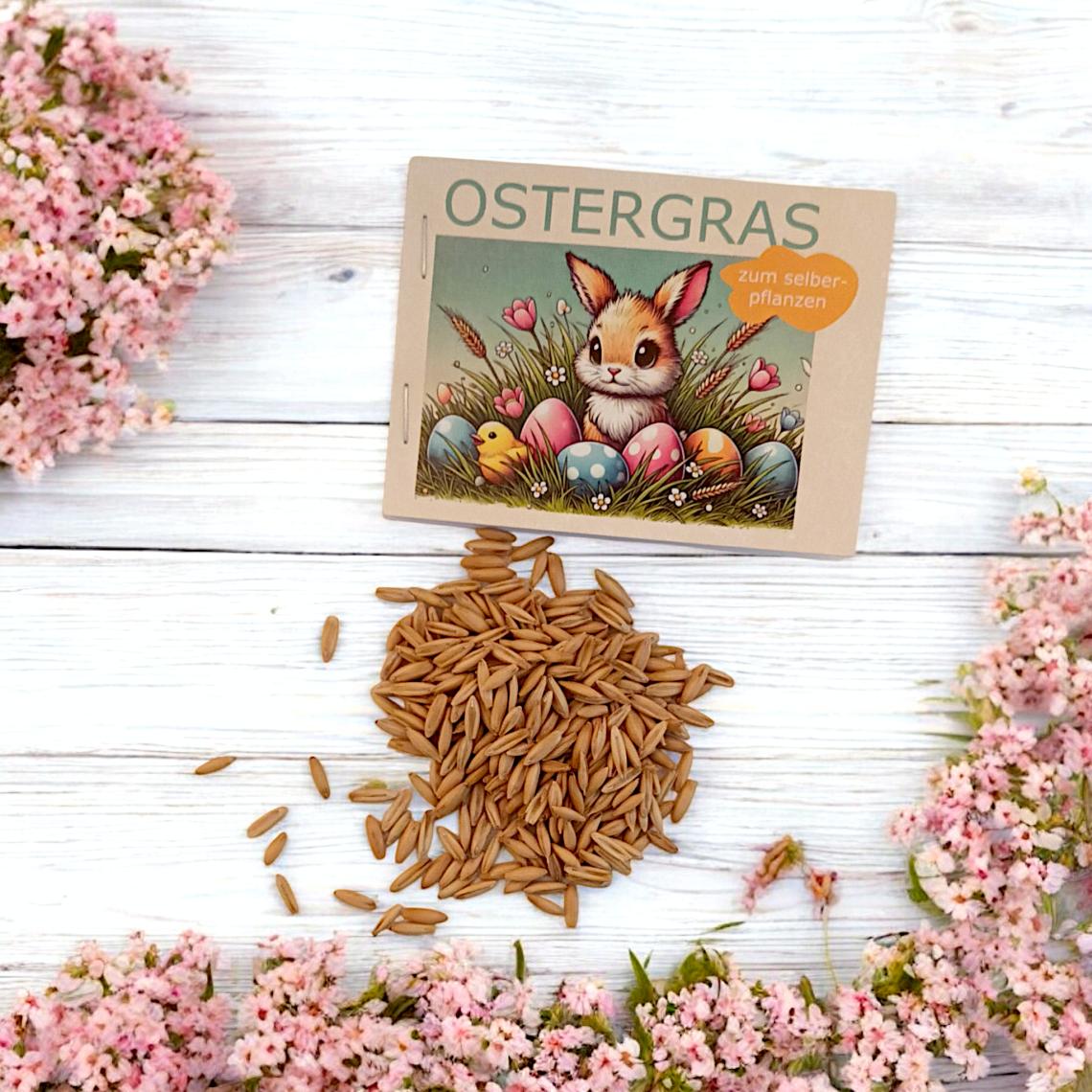 Ostergras zum Selberpflanzen