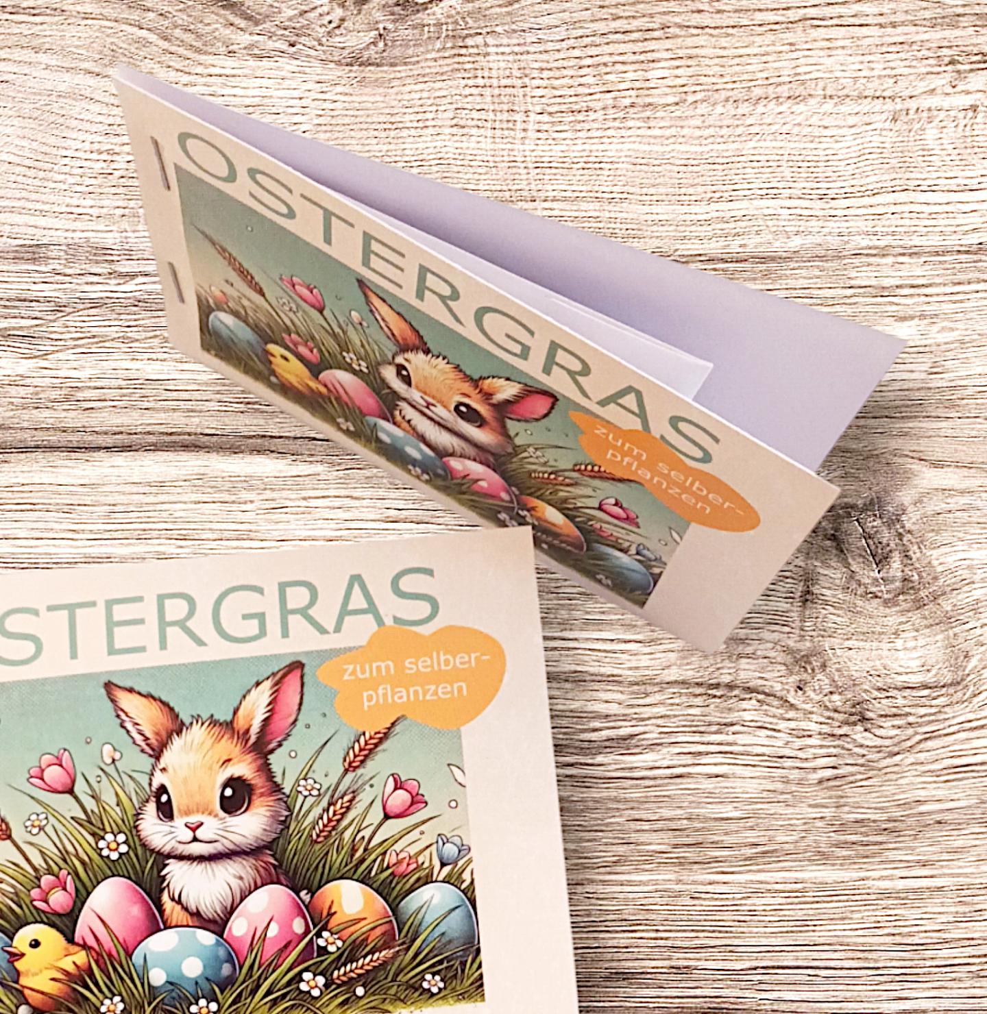 Ostergras zum Selberpflanzen