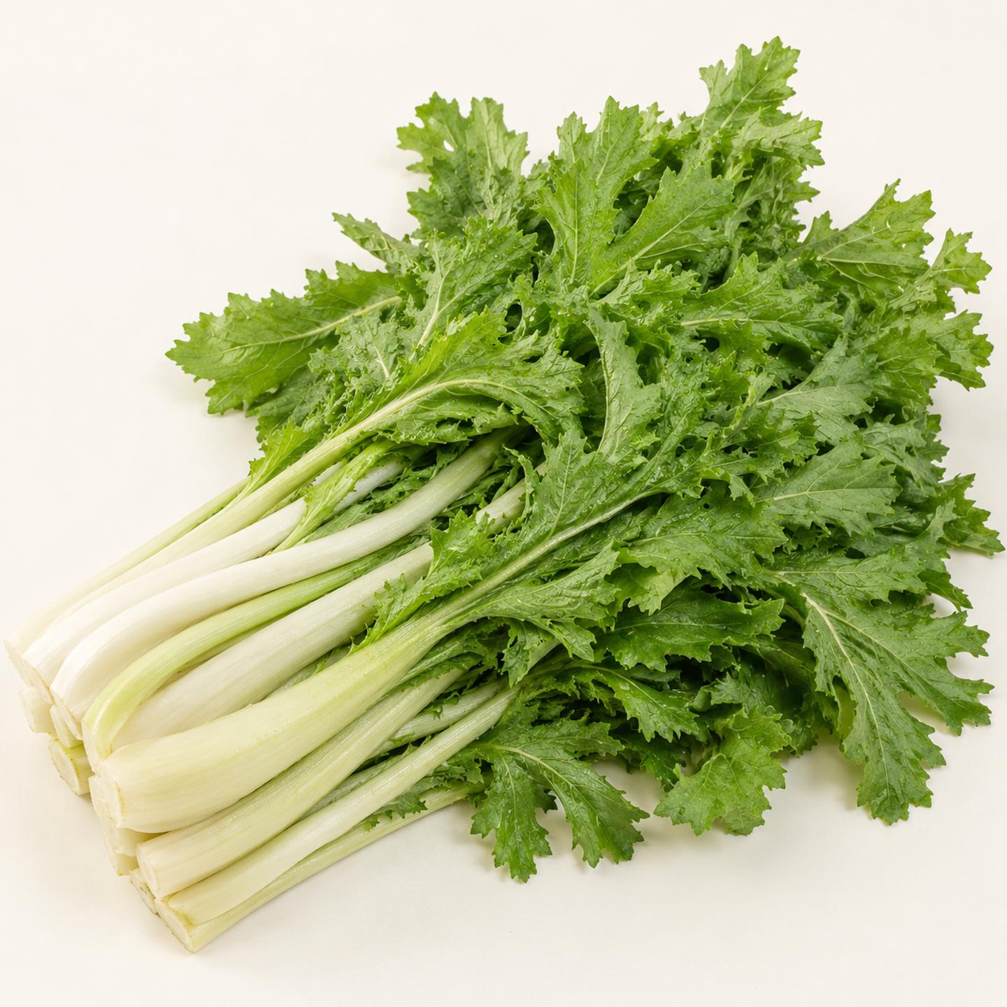 Stielmus "Namenia" - 2,5 Gramm für ca. 15 m²