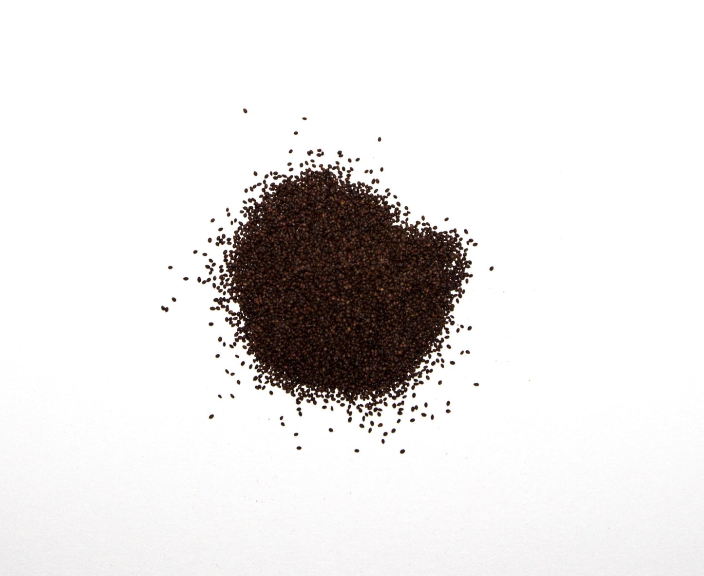 1500 Samen Oregano Origanum vulgare Griechischer Oregano