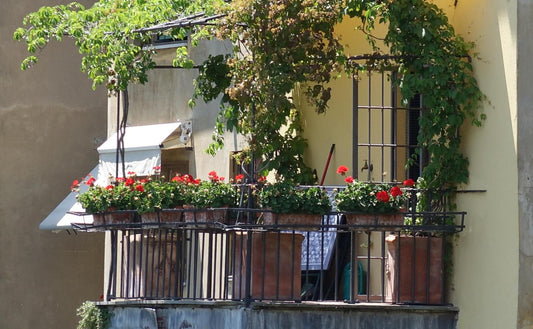 Natürlich kühlen: Den Balkon durch Begrünung vor Hitze schützen