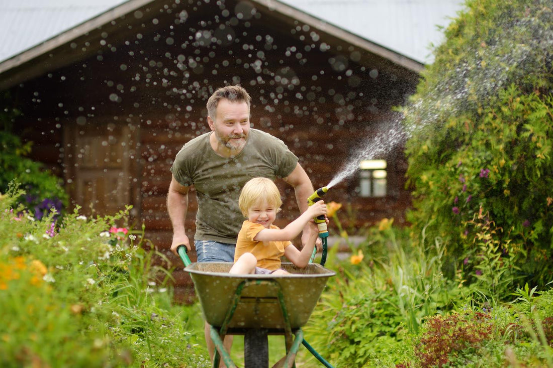 Was kann man im August noch säen? Gemüse, Kräuter, Blumen und Gründüngung