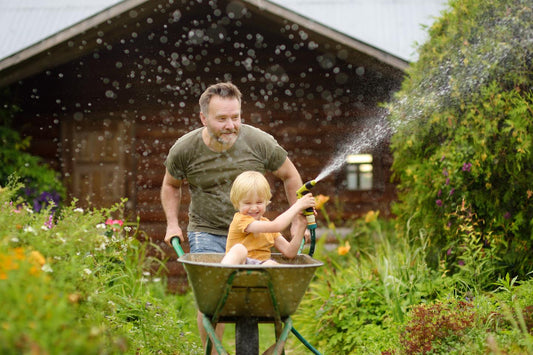 Was kann man im August noch säen? Gemüse, Kräuter, Blumen und Gründüngung
