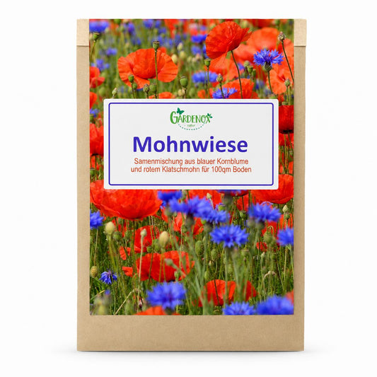 100 qm Samenmischung Kornblume + Klatschmohn