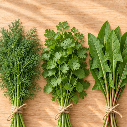 Kräutersamen-Set „Frische Kräuterküche“