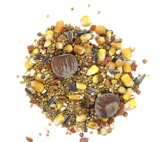 Eichhörnchen Ergänzungsfutter 2kg