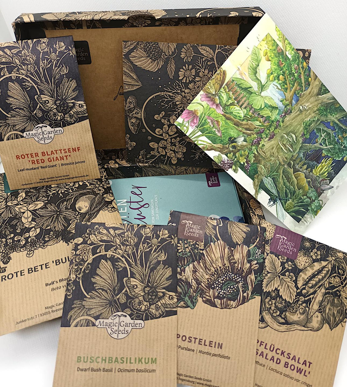 Micro Greens – Samen-Geschenkset