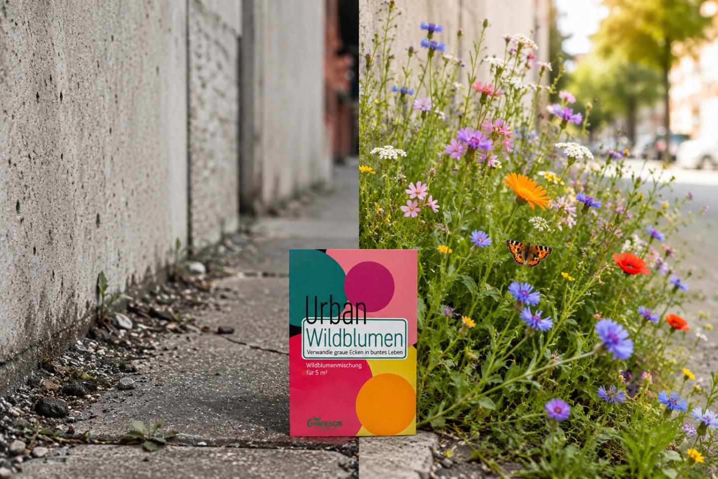 "Urban Wildblumen" - Saatgut für Wilde Ecken 5 qm