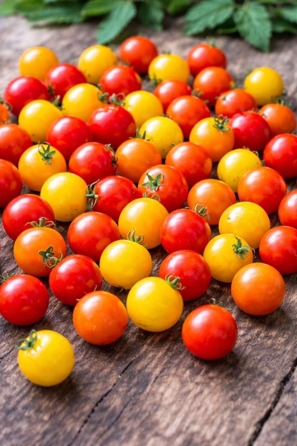 Wildtomaten Mix (Solanum pimpinellifolium) – ca. 10 Samen