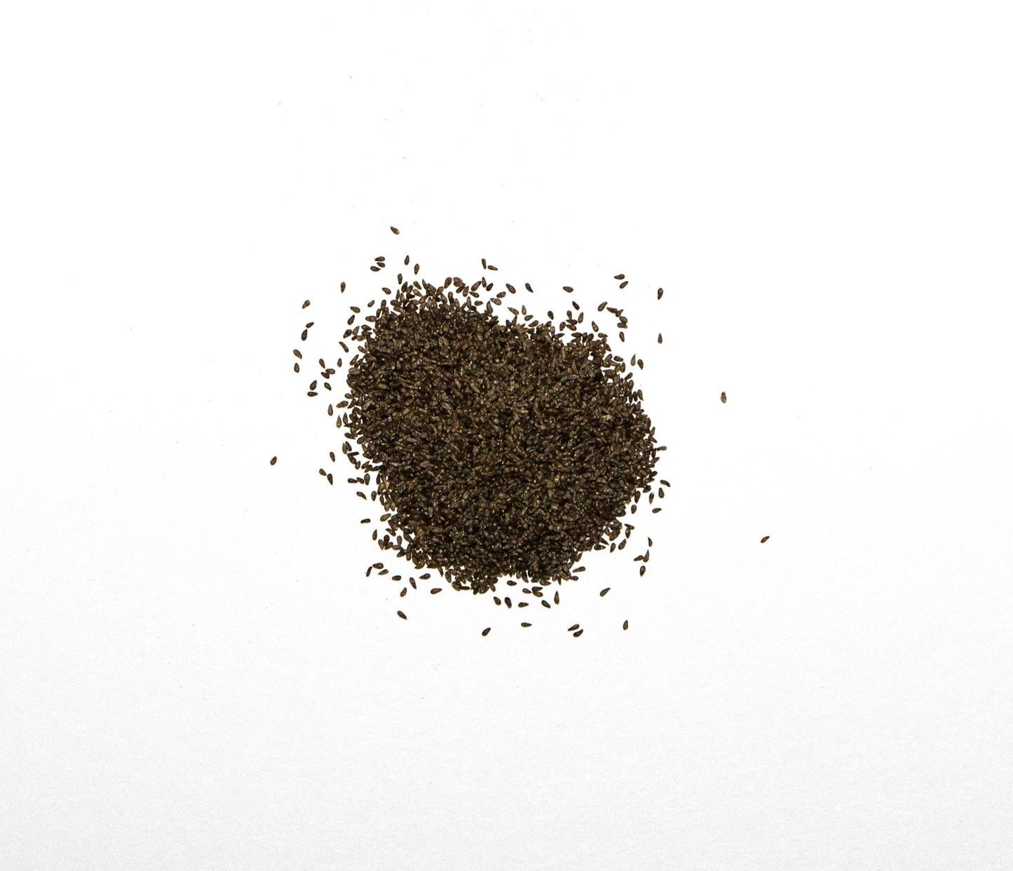 3000 Samen Artemisia absinthium - Echter Wermut Wermutkraut, winterhart